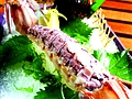 &#20061;&#24030;&#32593;&#95;&#20061;&#24030;&#65288;&#20013;&#22269;&#65289;